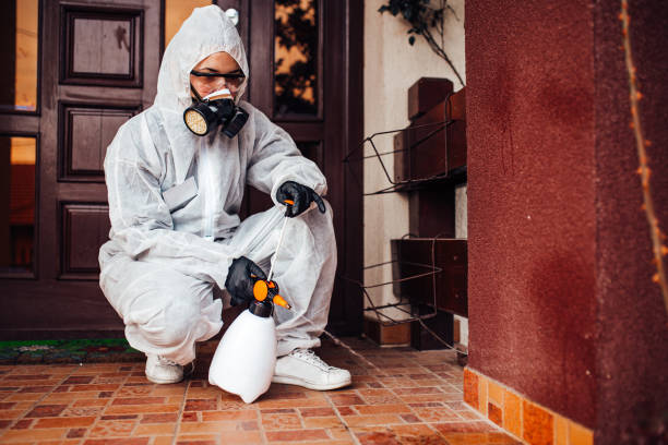Reliable Bed Bug Control contractor in Erwin, TN by Nex Pest Control